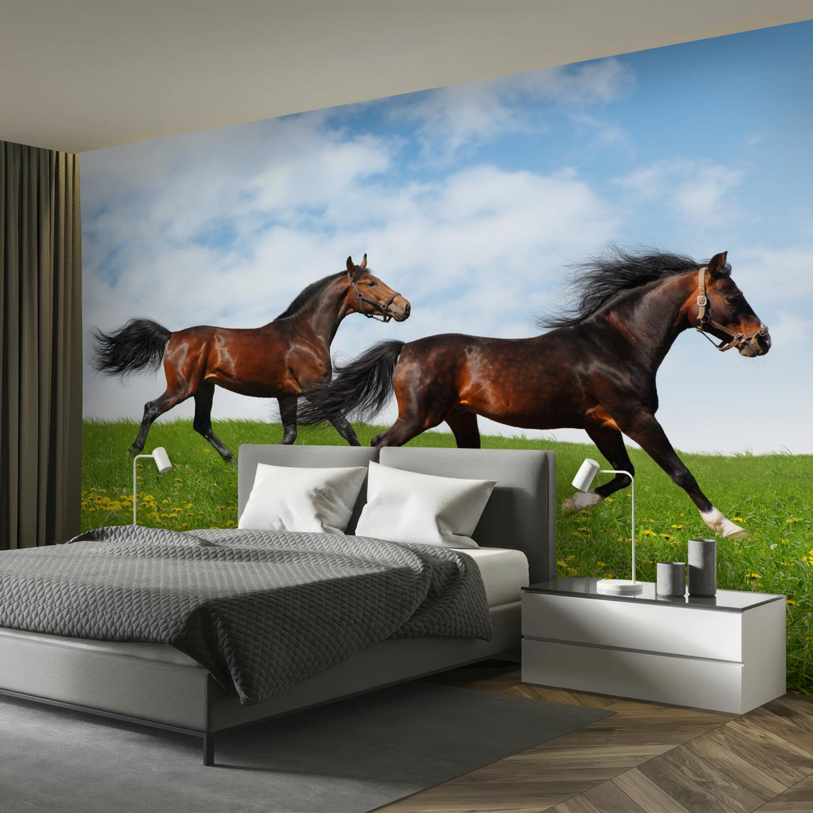 Fototapeta wczesne konie biegające przez polanę