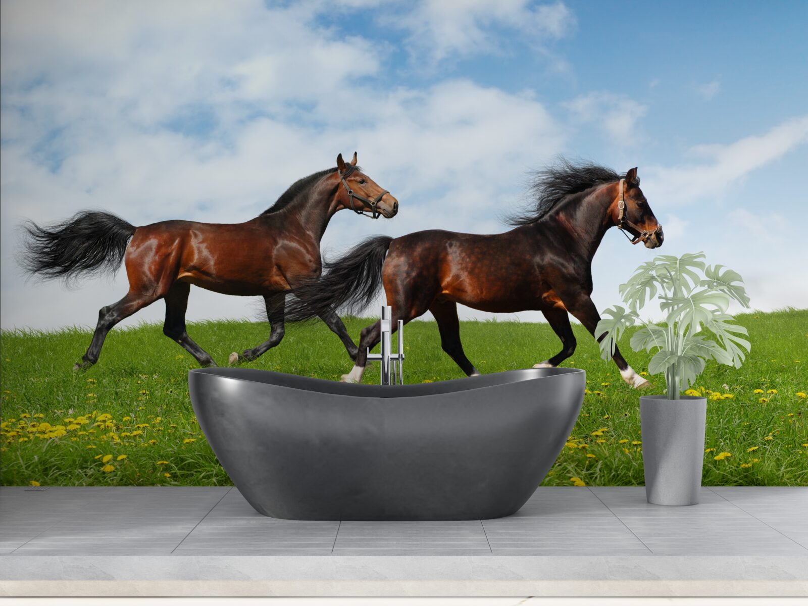 Fototapeta wczesne konie biegające przez polanę