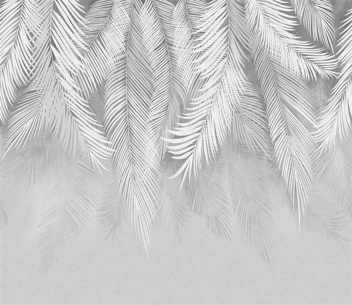 Fototapeta zwisają białe liście palmowe