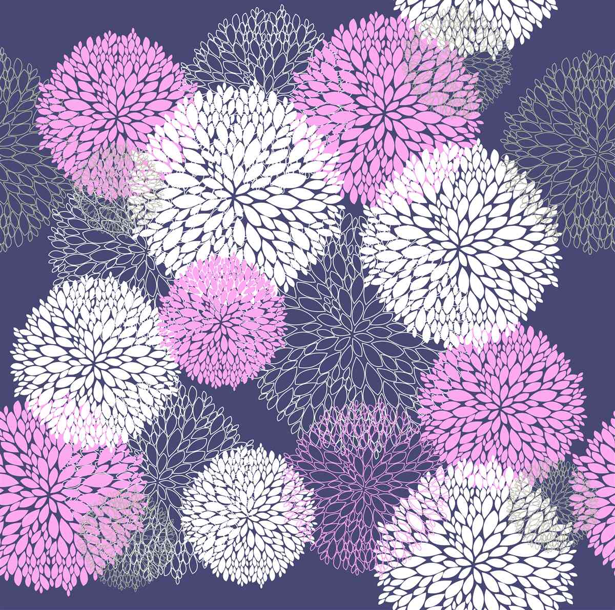 Fototapeta zawilce różowe i białe