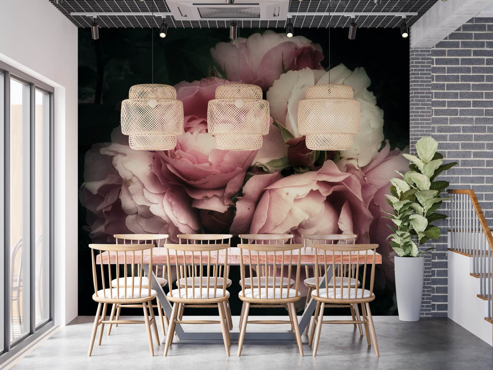 Fototapeta duże różowe róże