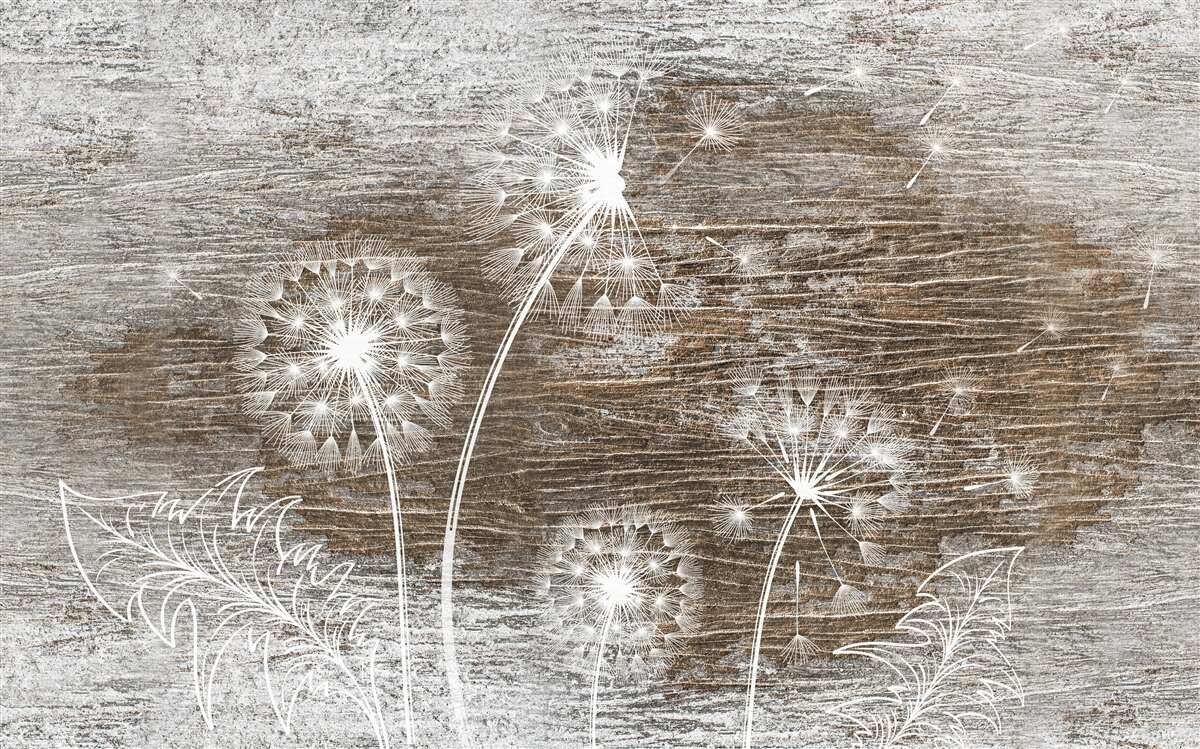 Fototapeta mlecze, białe jak śnieg, na drzewie