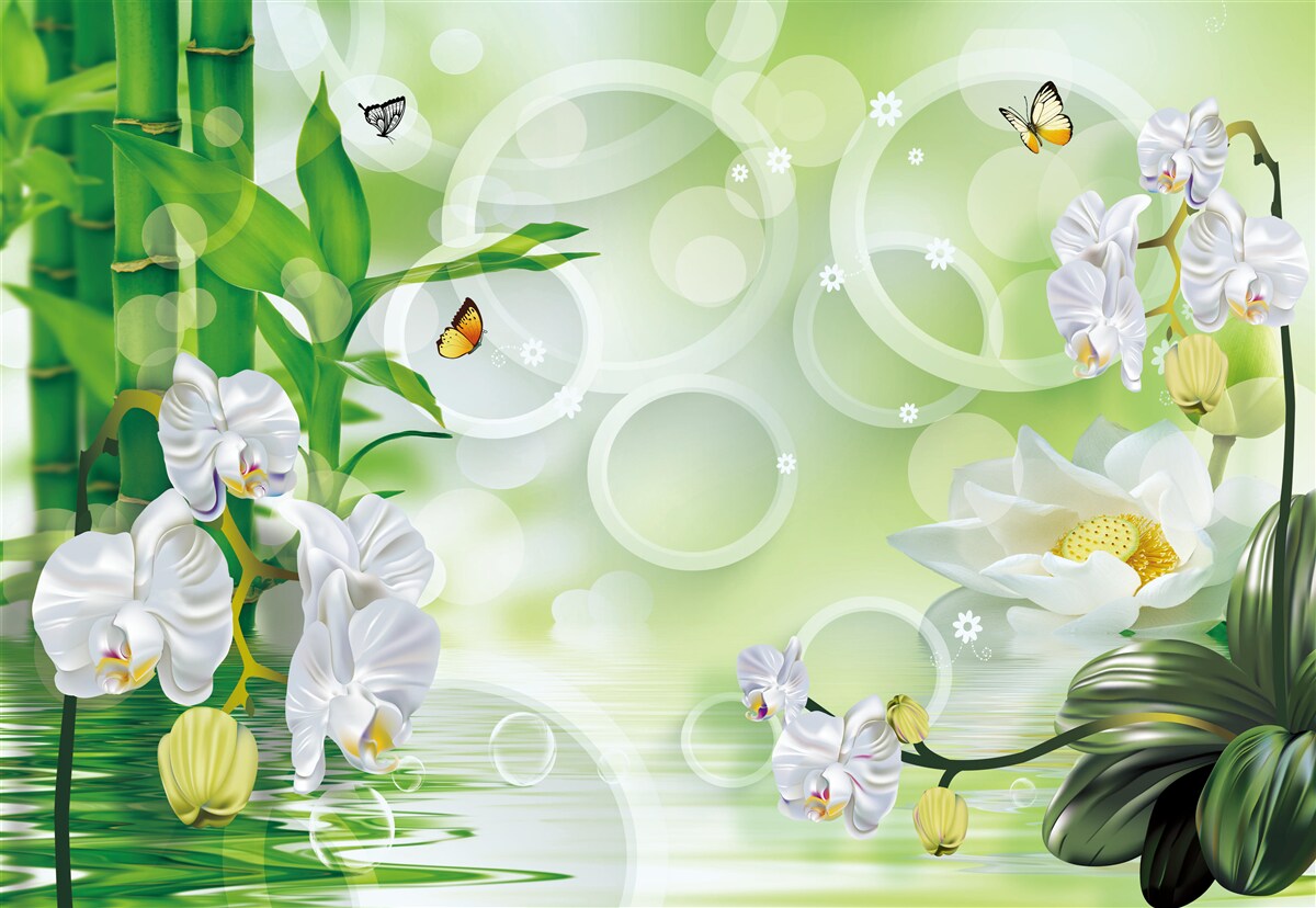 Fototapeta zielony bambus i kwiaty odbijają się w wodzie, otoczone białymi kółkami