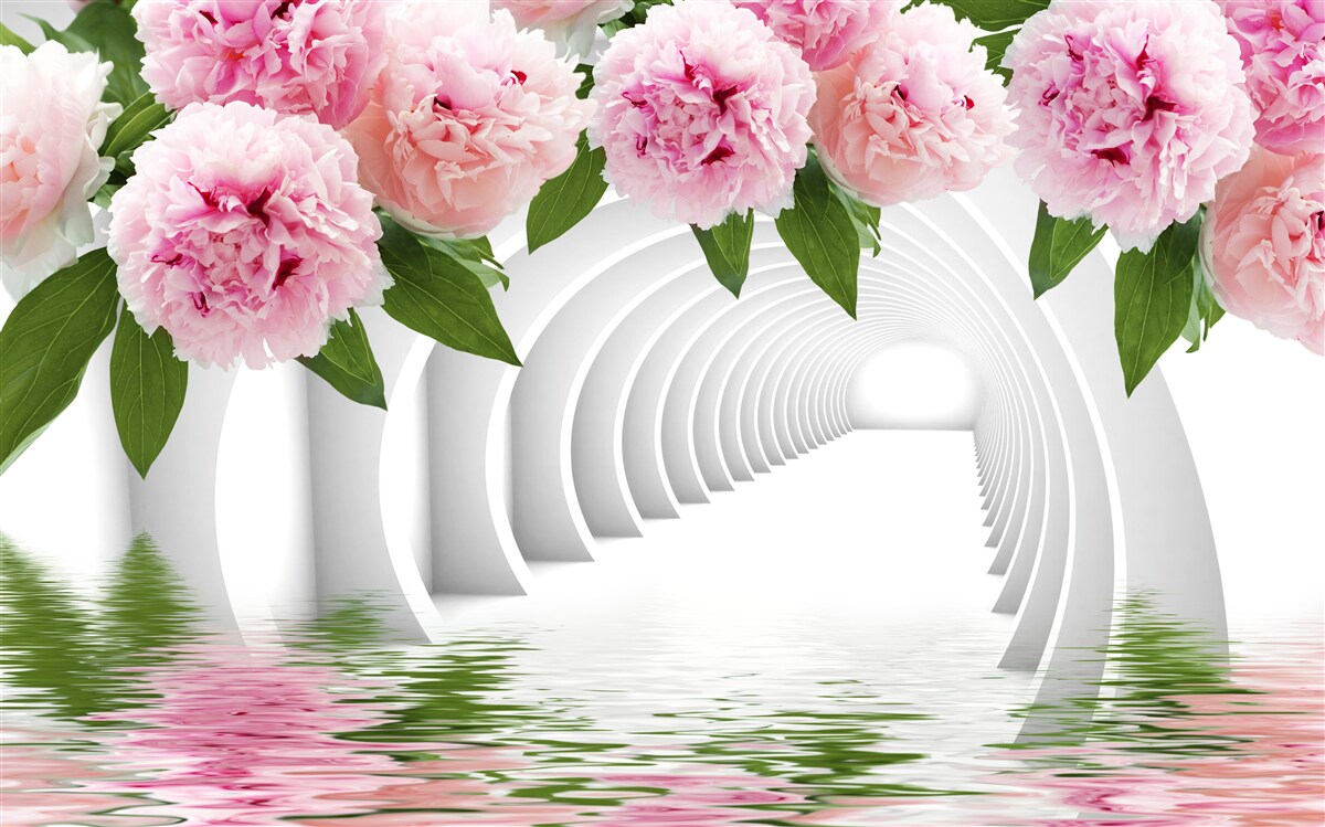 Fototapeta piwonie w różowym kolorze nad powierzchnią wody