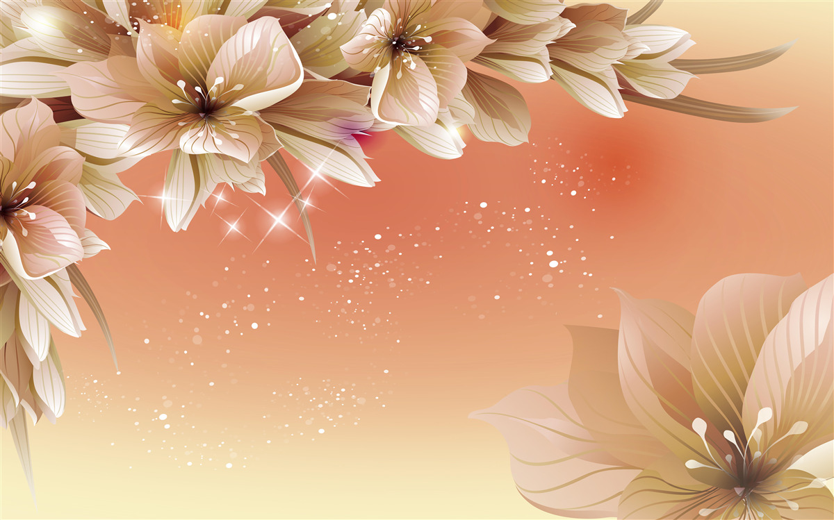 Fototapeta białe kwiaty kwitnące na gałęzi na tle zachodzącego słońca