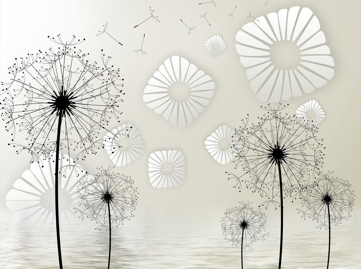 Fototapeta mniszek lekarski o wschodzie słońca