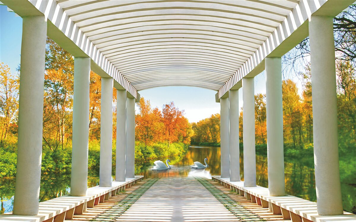 Fototapeta zbiornik wodny, po którym pływają śnieżnobiałe łabędzie