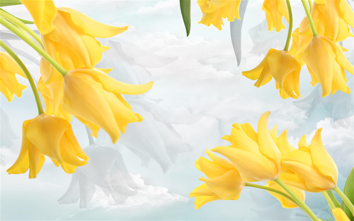 Fototapeta Żółte tulipany na tle błękitnego nieba