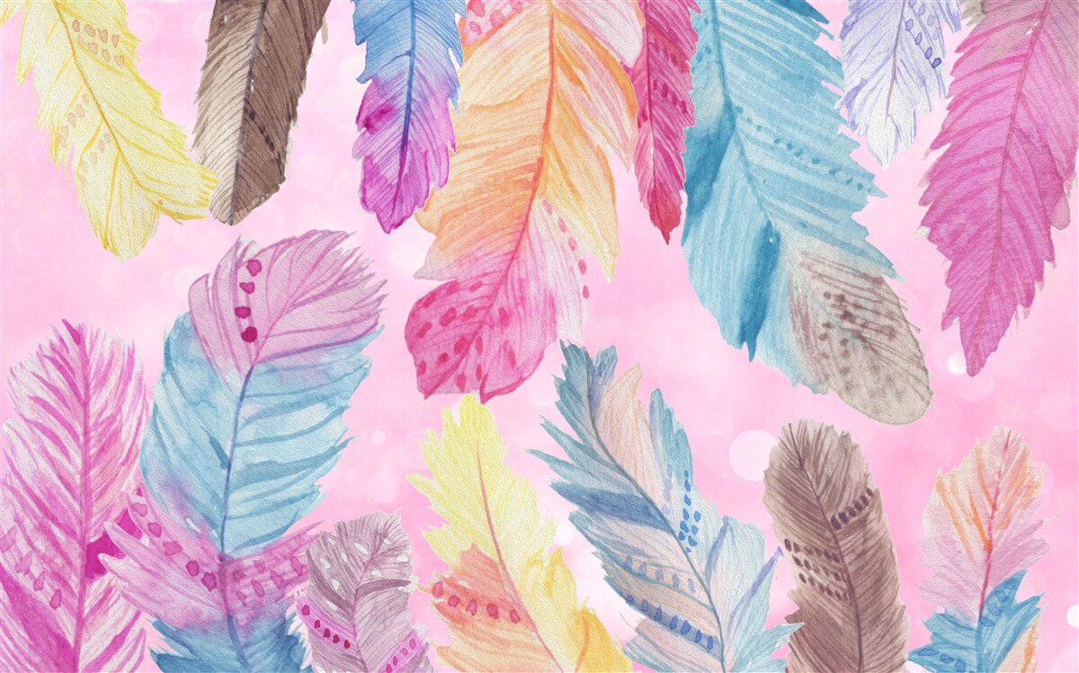 Fototapeta pióra o pięknych różnych odcieniach