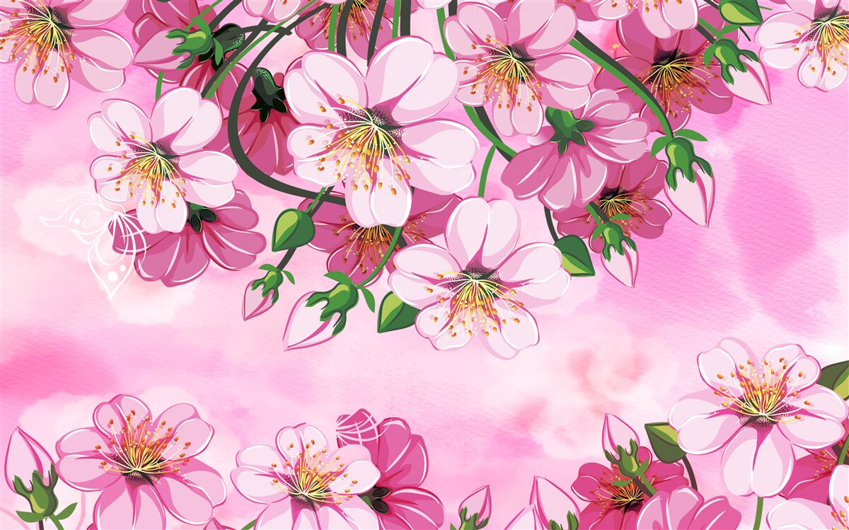 Fototapeta kwiaty wiśni japońskiej