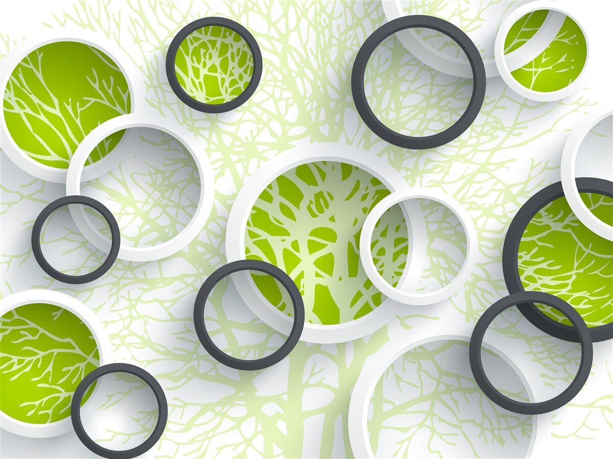 Fototapeta okręgi soczewki odbijają zieleń liści drzew