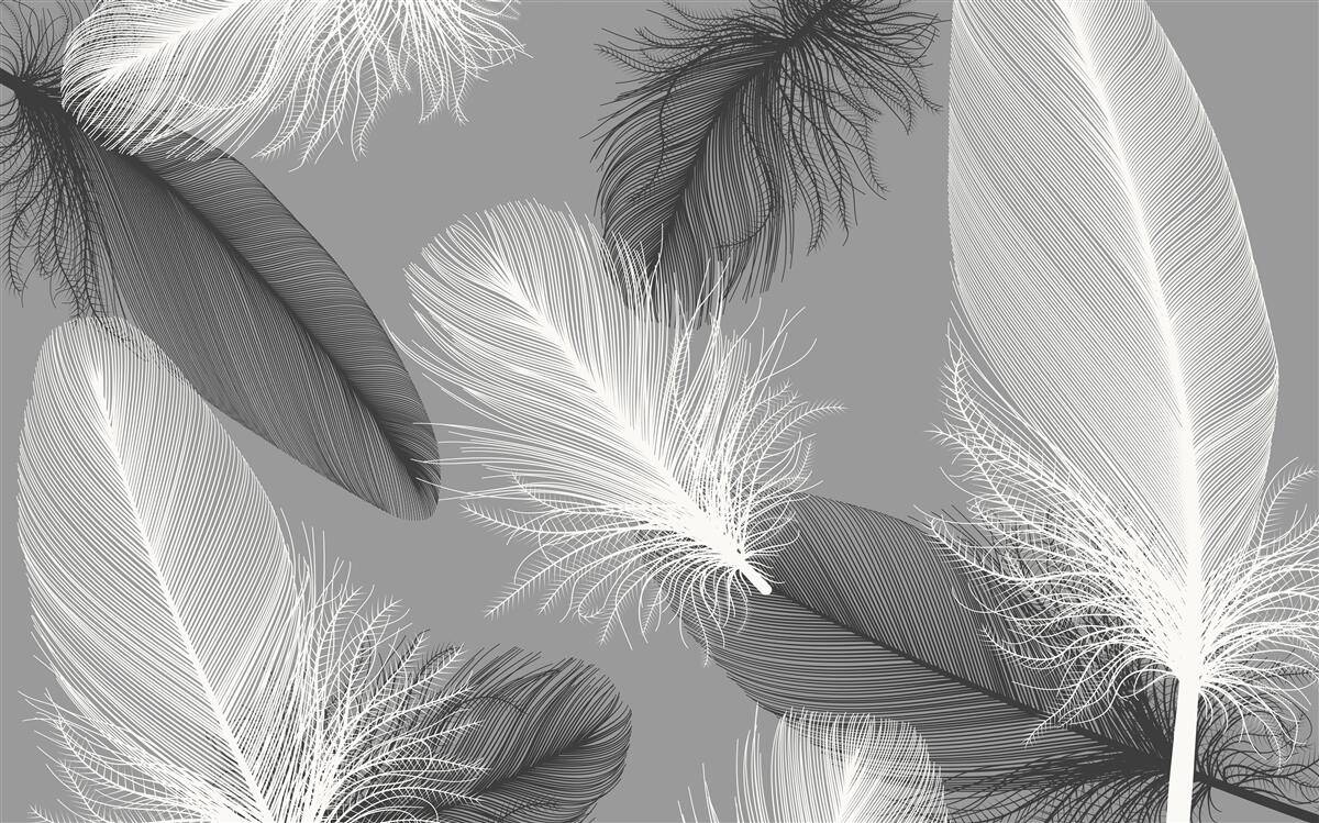 Fototapeta srebrne i lekkie puszyste talerze