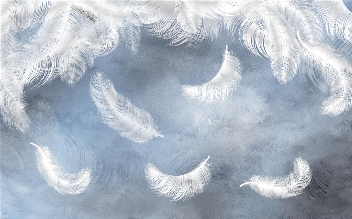 Fototapeta pióra lecą śnieżnobiałe na tle błękitnego nieba