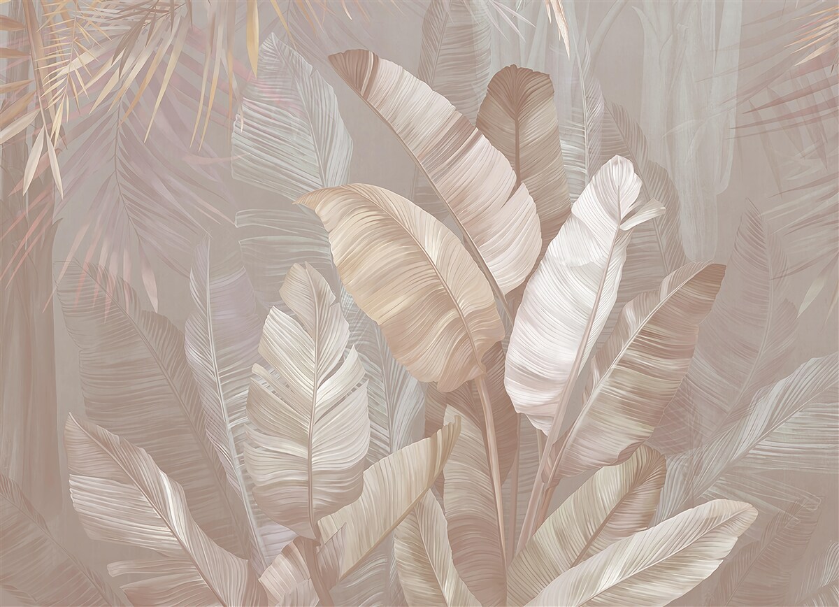 Fototapeta miękkie lasy deszczowe