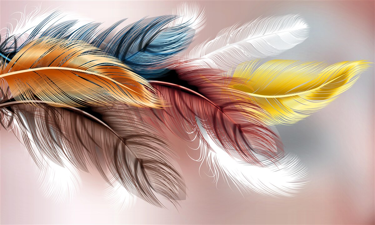 Fototapeta upierzenie w różnych kolorach