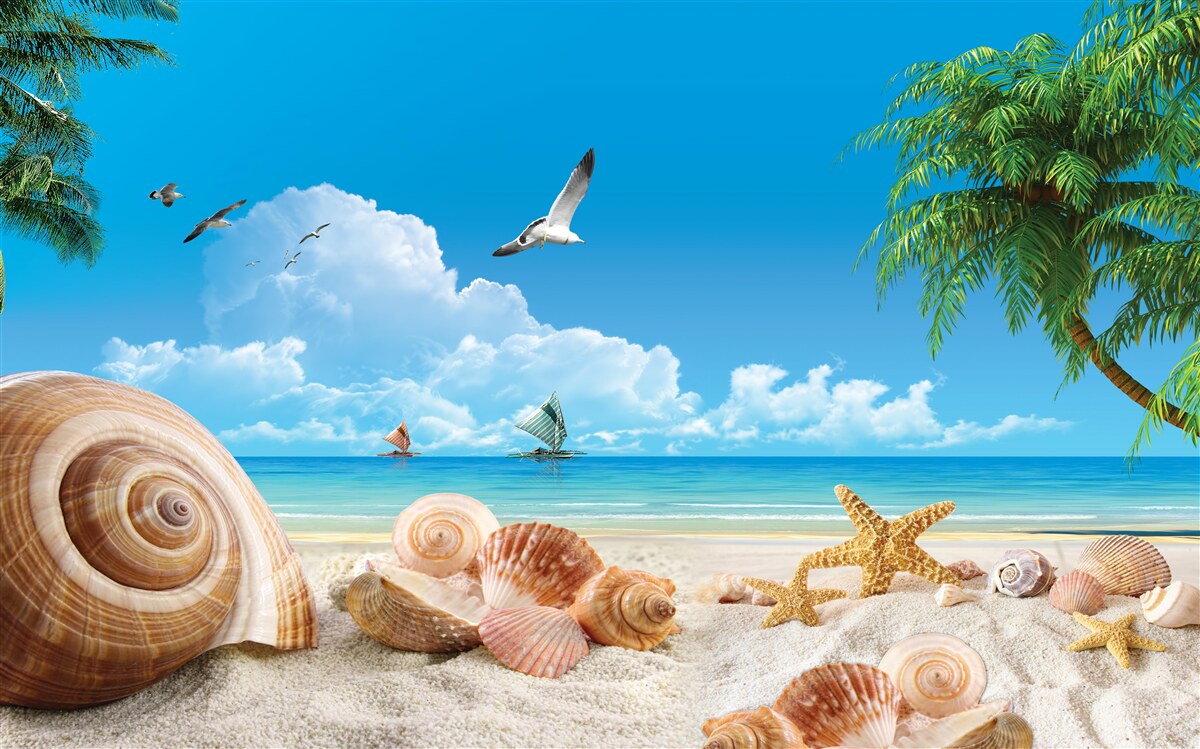 Fototapeta muszle na wybrzeżu morskim