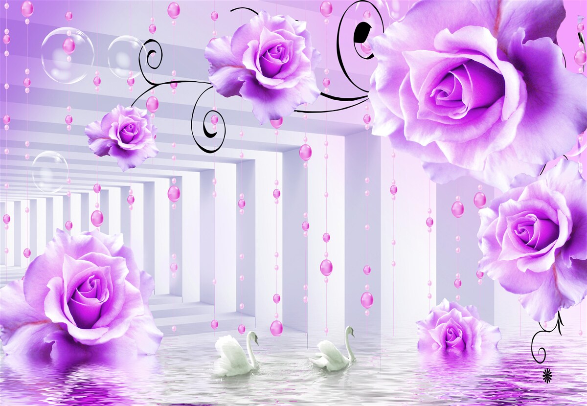 Fototapeta liliowe róże unoszące się na wodzie