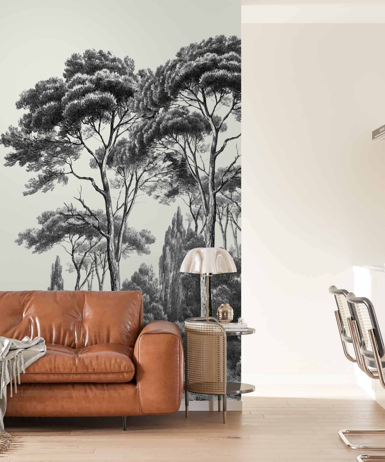 Fototapeta sosny z włoch w czarno-białych odcieniach