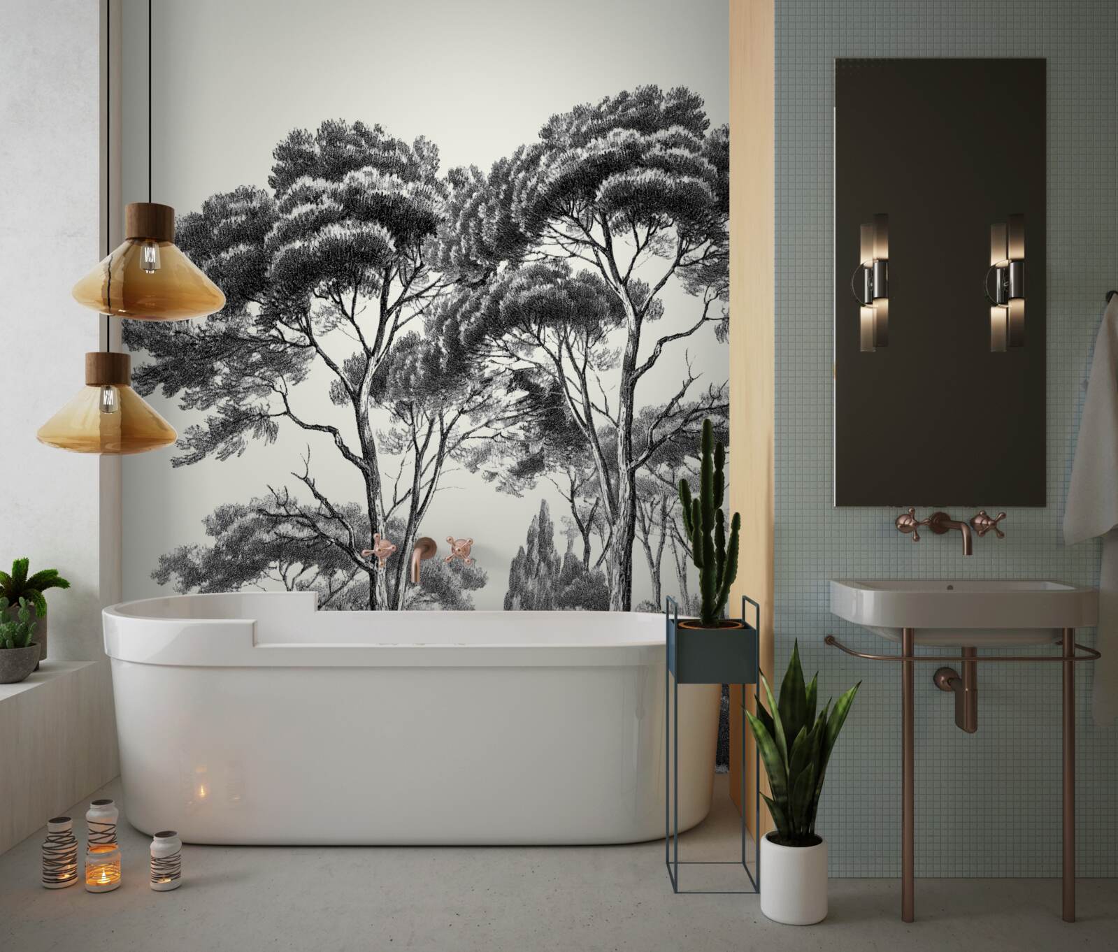 Fototapeta sosny z włoch w czarno-białych odcieniach