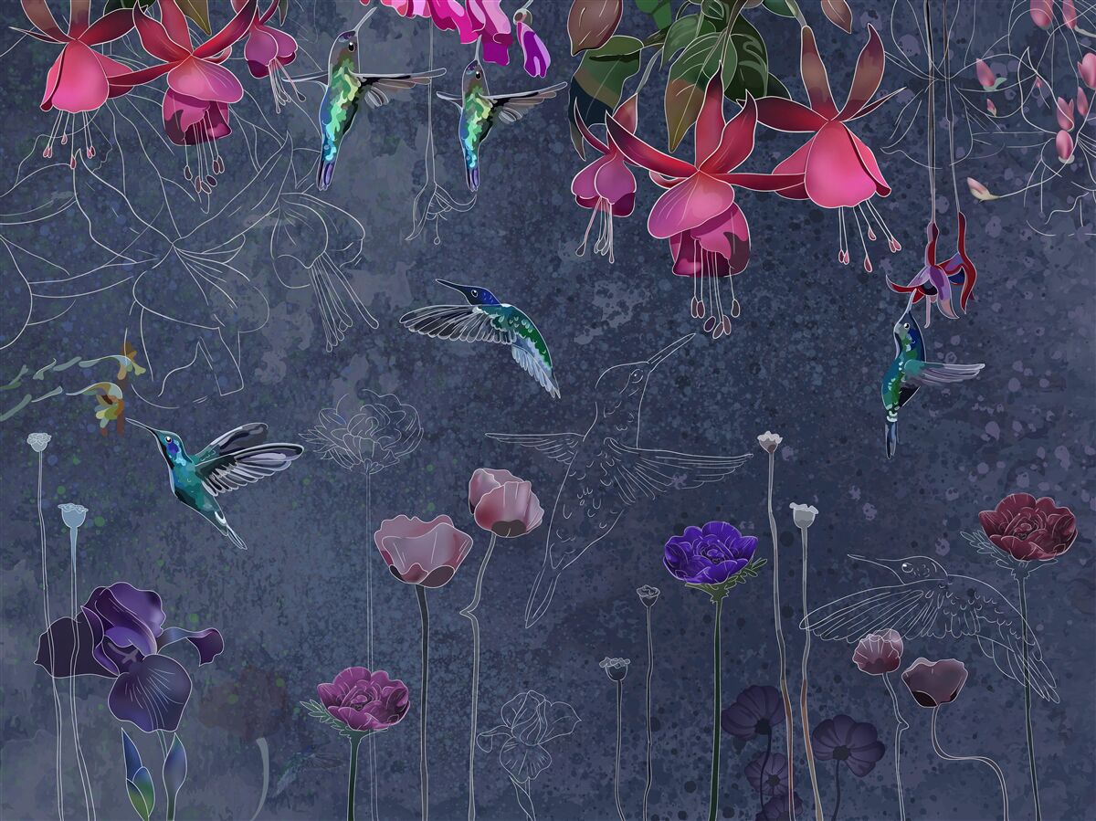 Fototapeta nektar kwiatowy to napój dla kolibrów