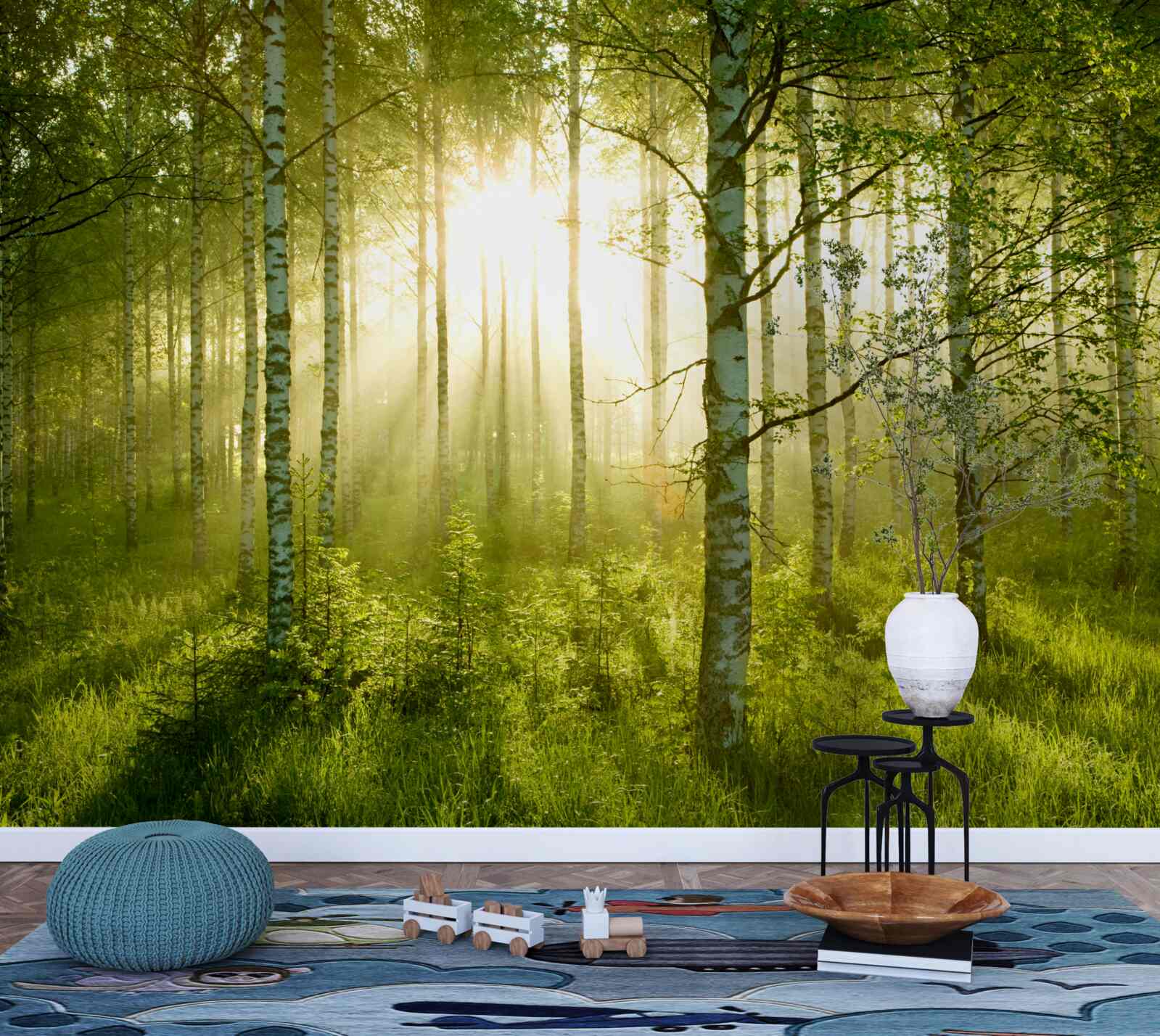 Fototapeta Świt w lesie brzozowym