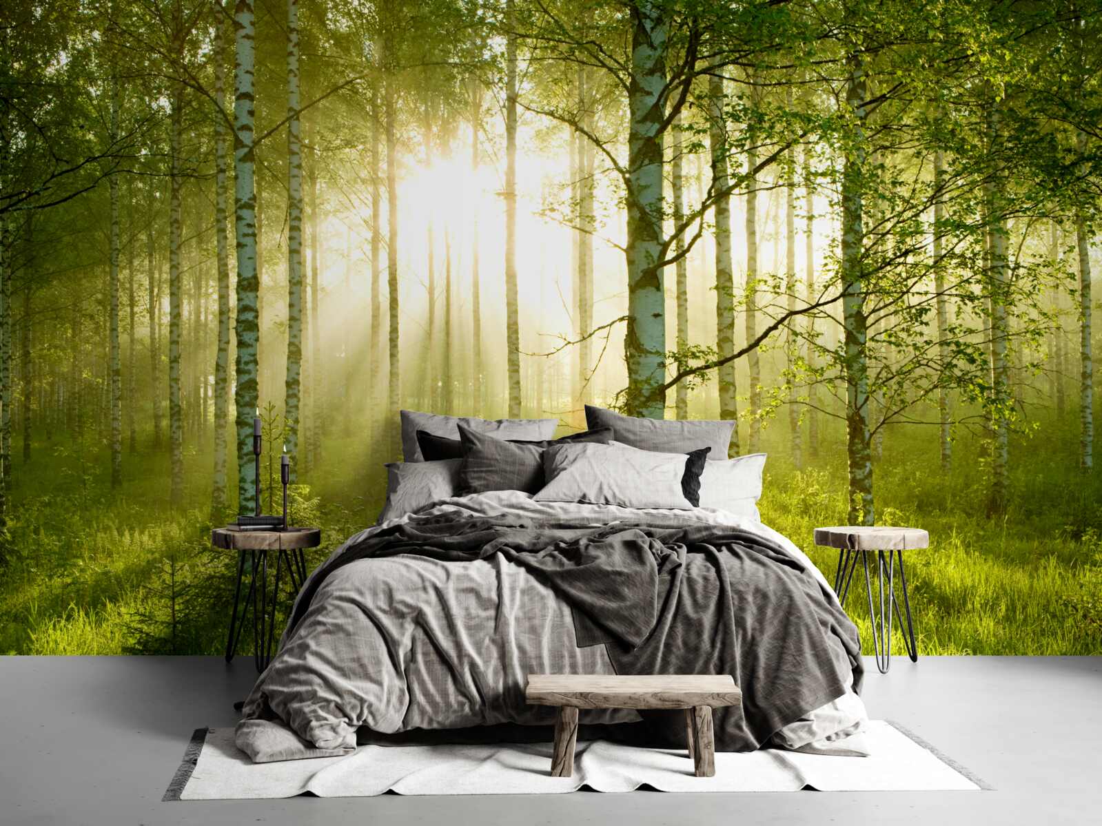 Fototapeta Świt w lesie brzozowym