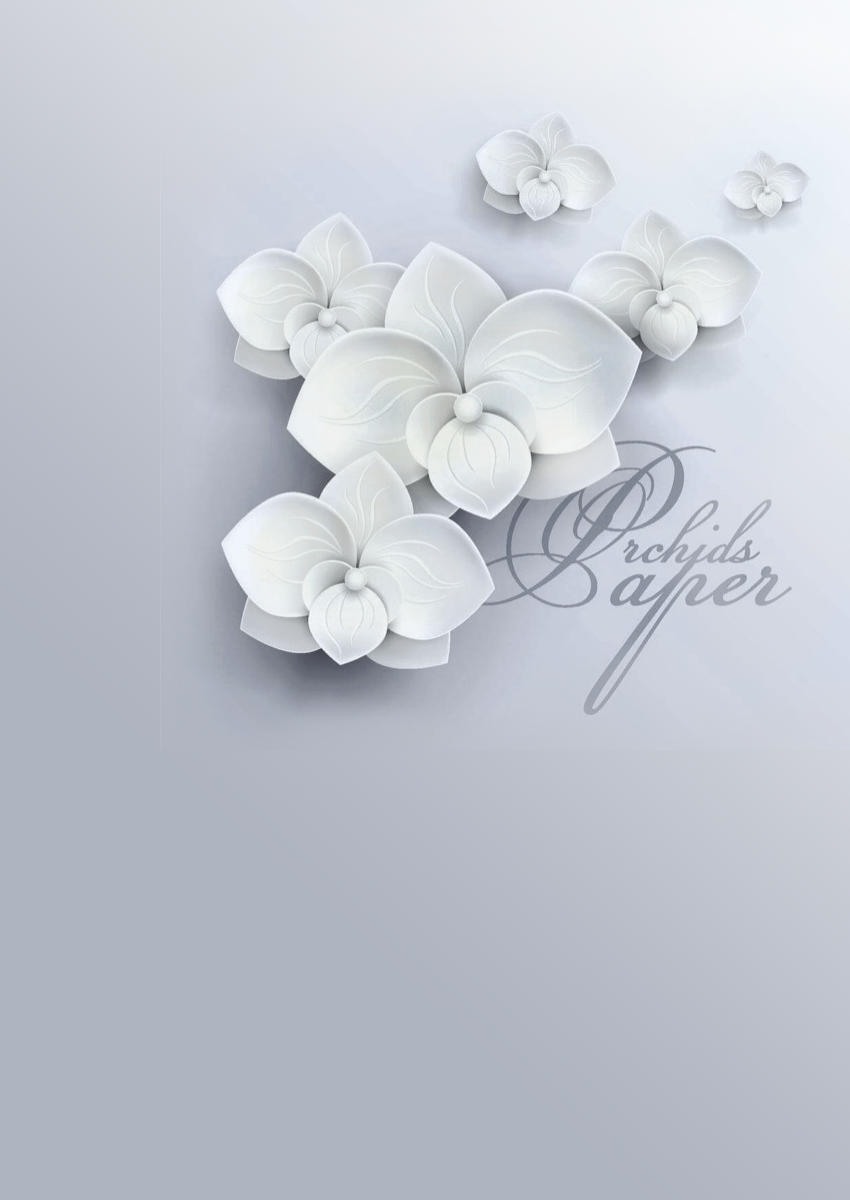 Fototapeta szare tło ozdobione jest białymi orchideami