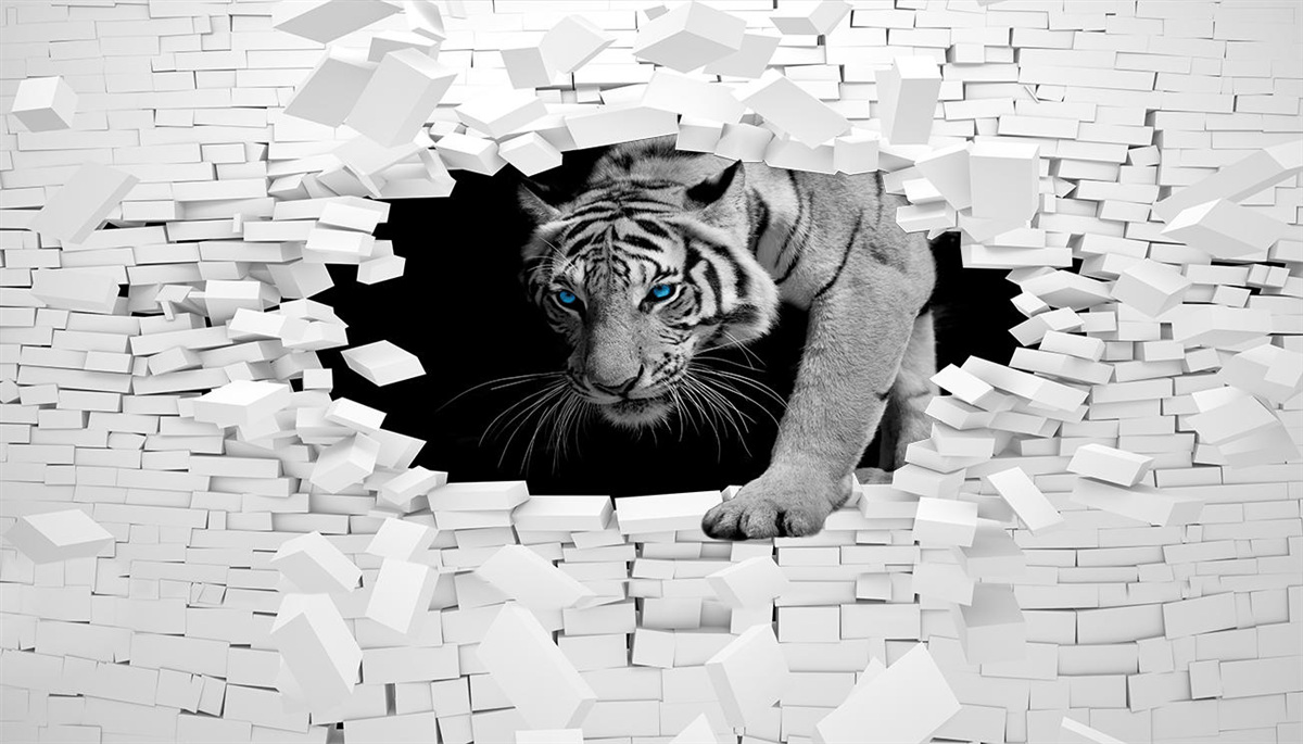 Fototapeta tygrys niszczy ścianę z cegieł