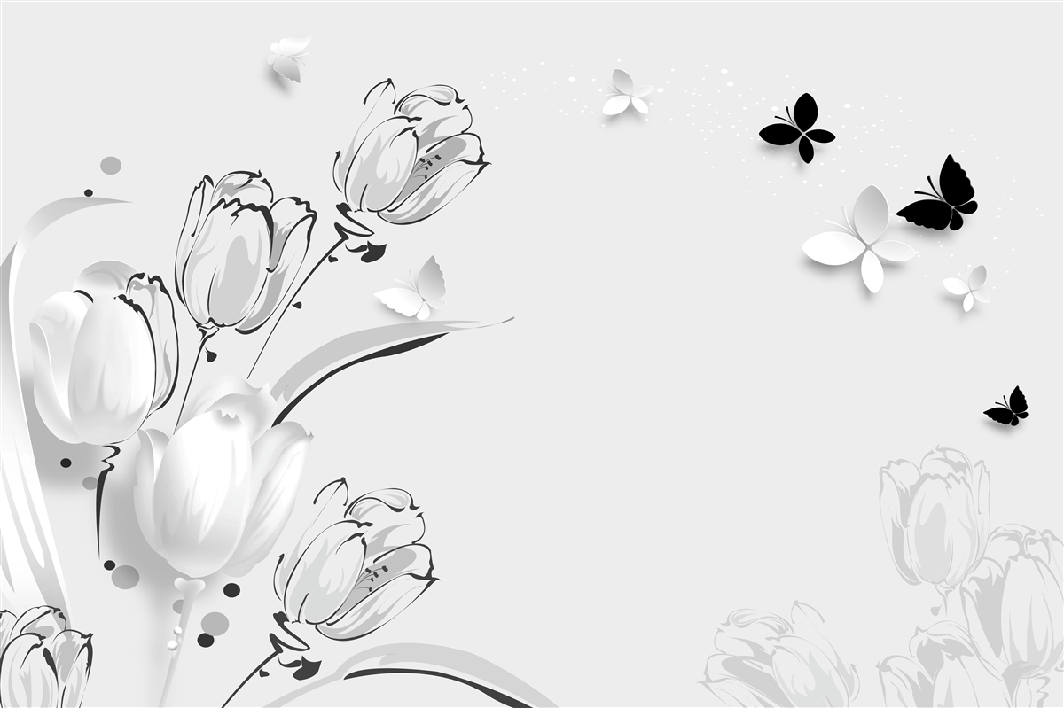 Fototapeta Śnieżnobiałe tulipany i motyle