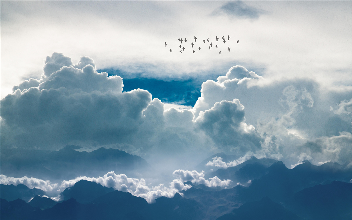 Fototapeta grupa ptaków nad gęstymi chmurami