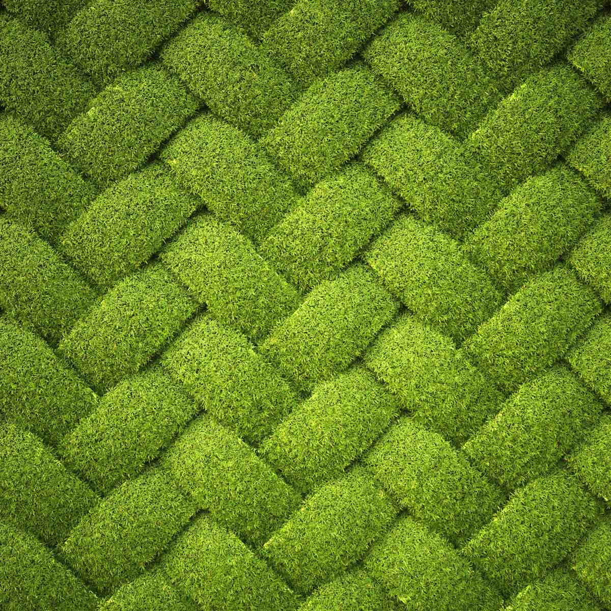 Fototapeta blokujący zielony trawnik