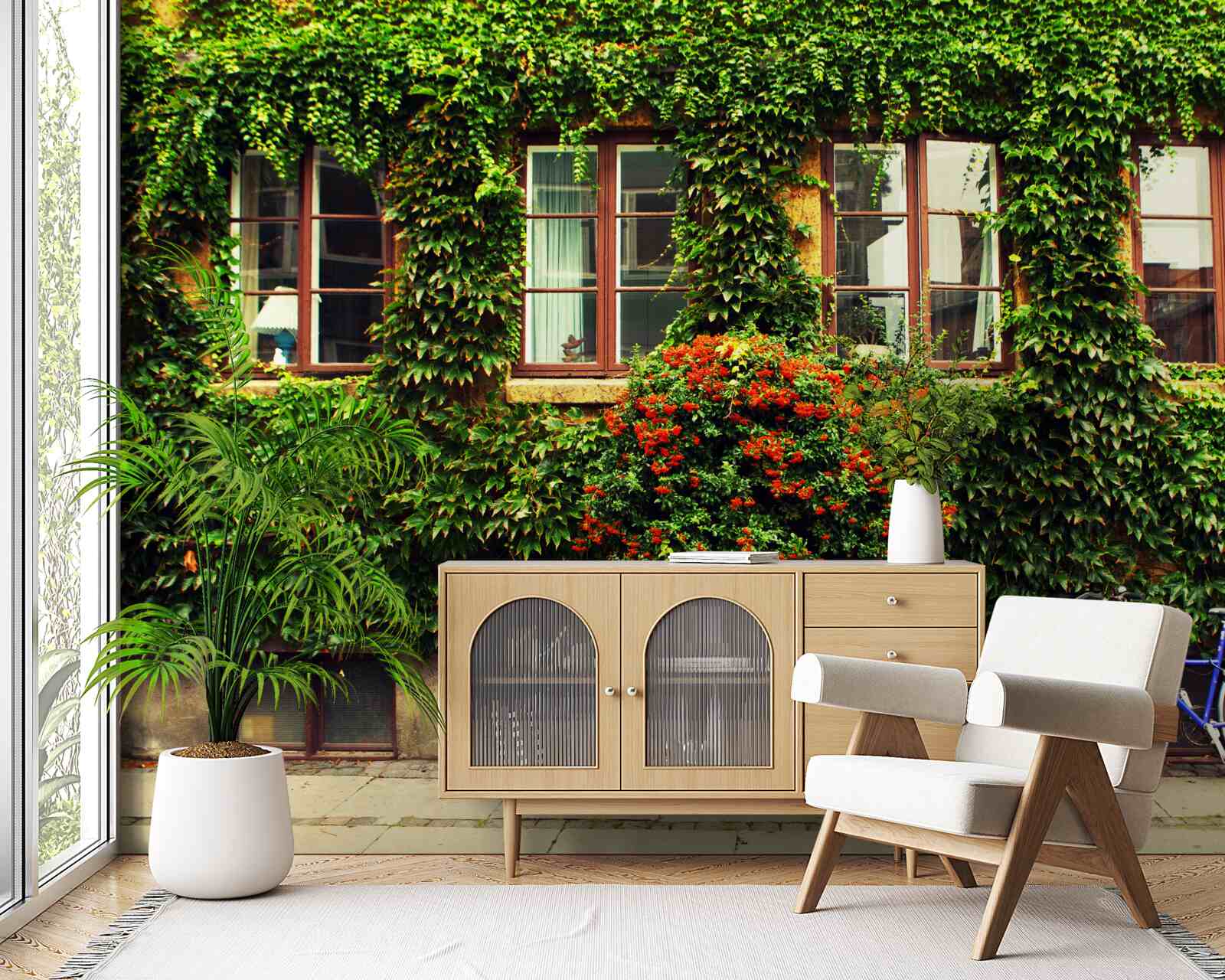 Fototapeta dom porośnięty bluszczem ze starości