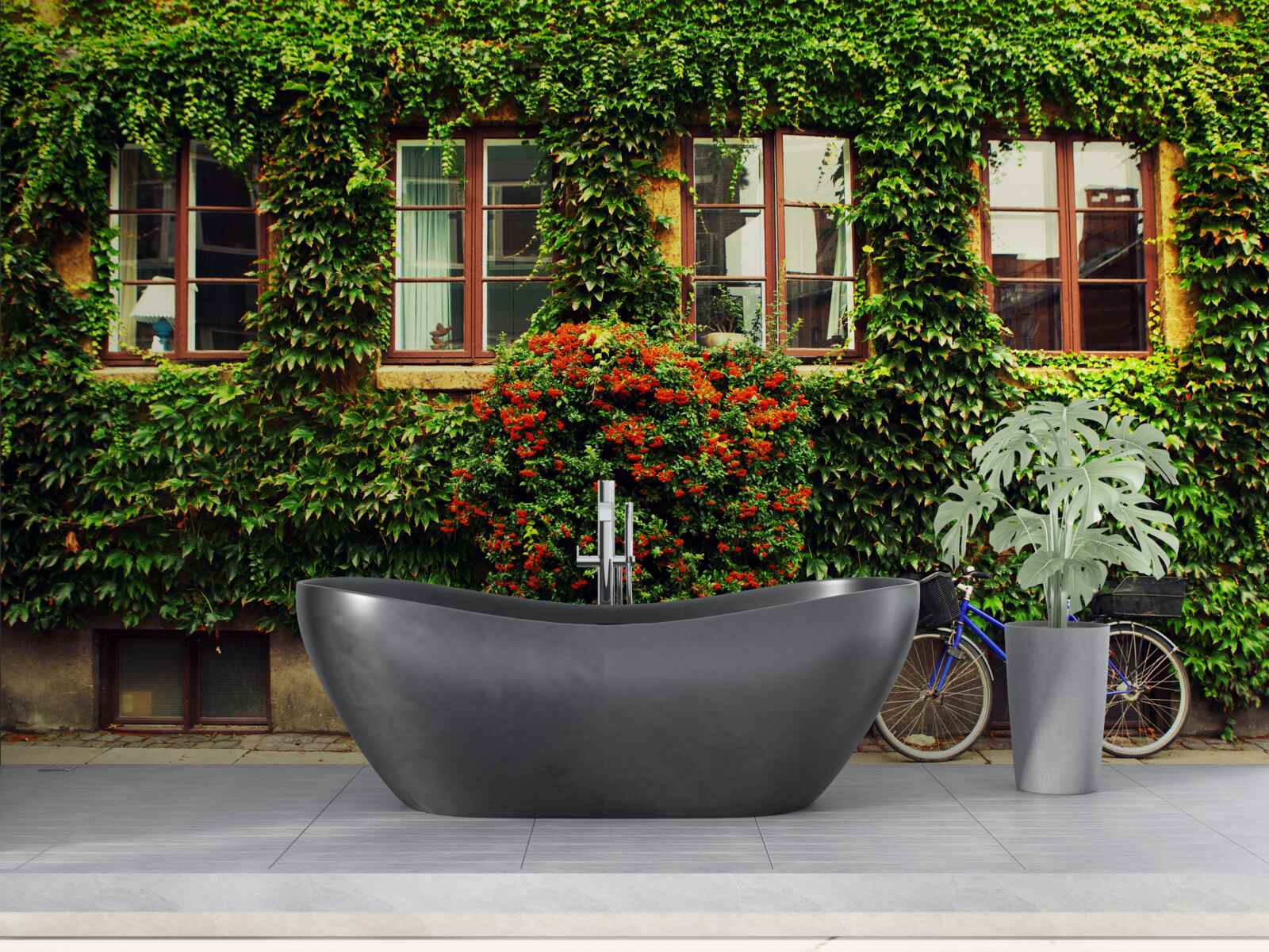 Fototapeta dom porośnięty bluszczem ze starości