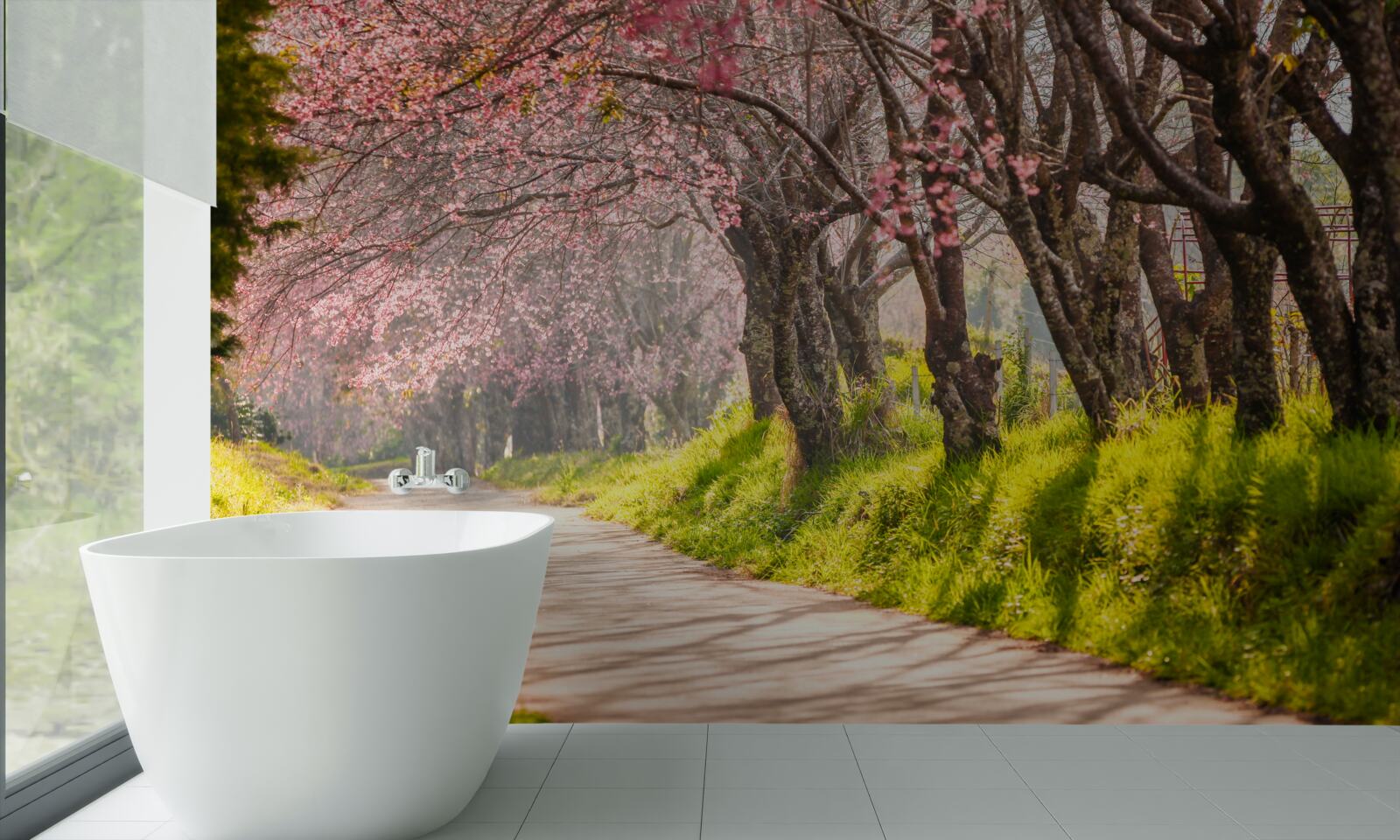 Fototapeta drzewa kwitnące wzdłuż cichej autostrady