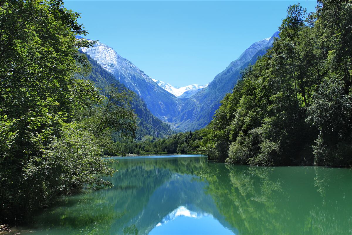 Fototapeta spokojny zbiornik wodny ukryty w gęstym lesie na zboczach gór