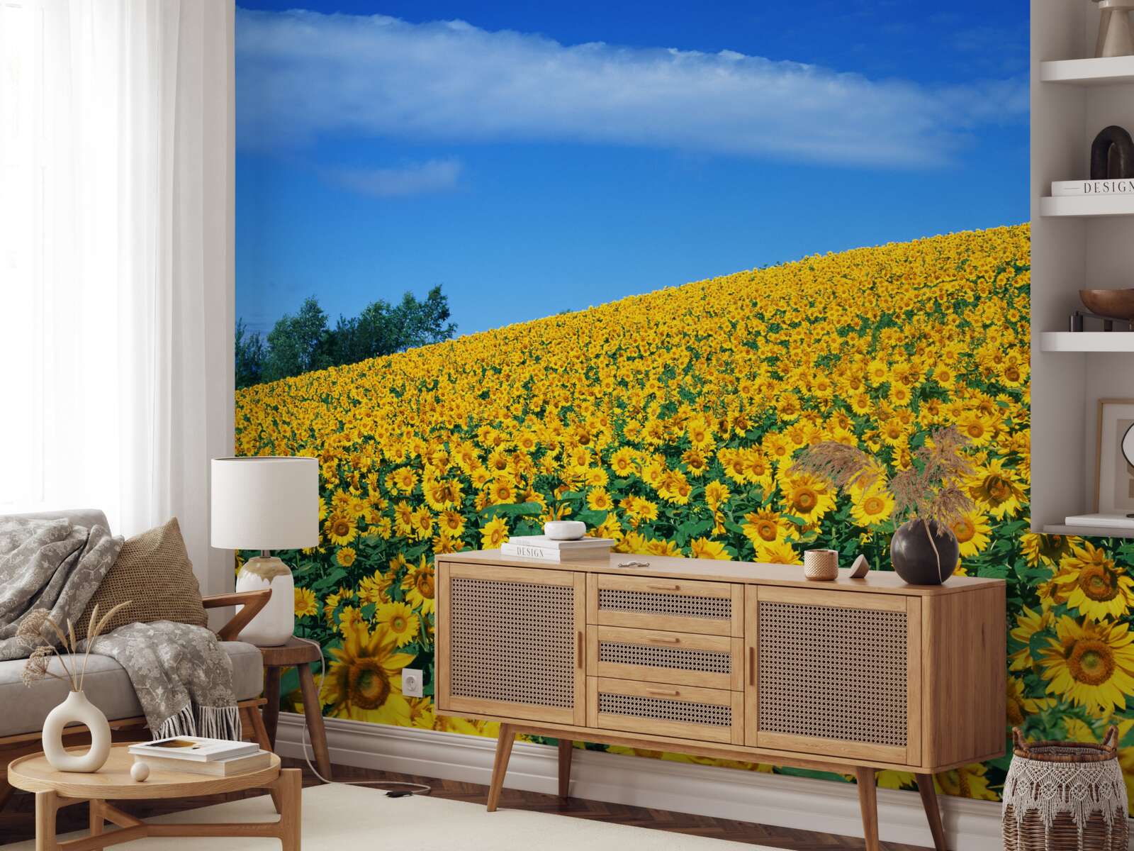 Fototapeta Świetna przestrzeń ze słonecznikami