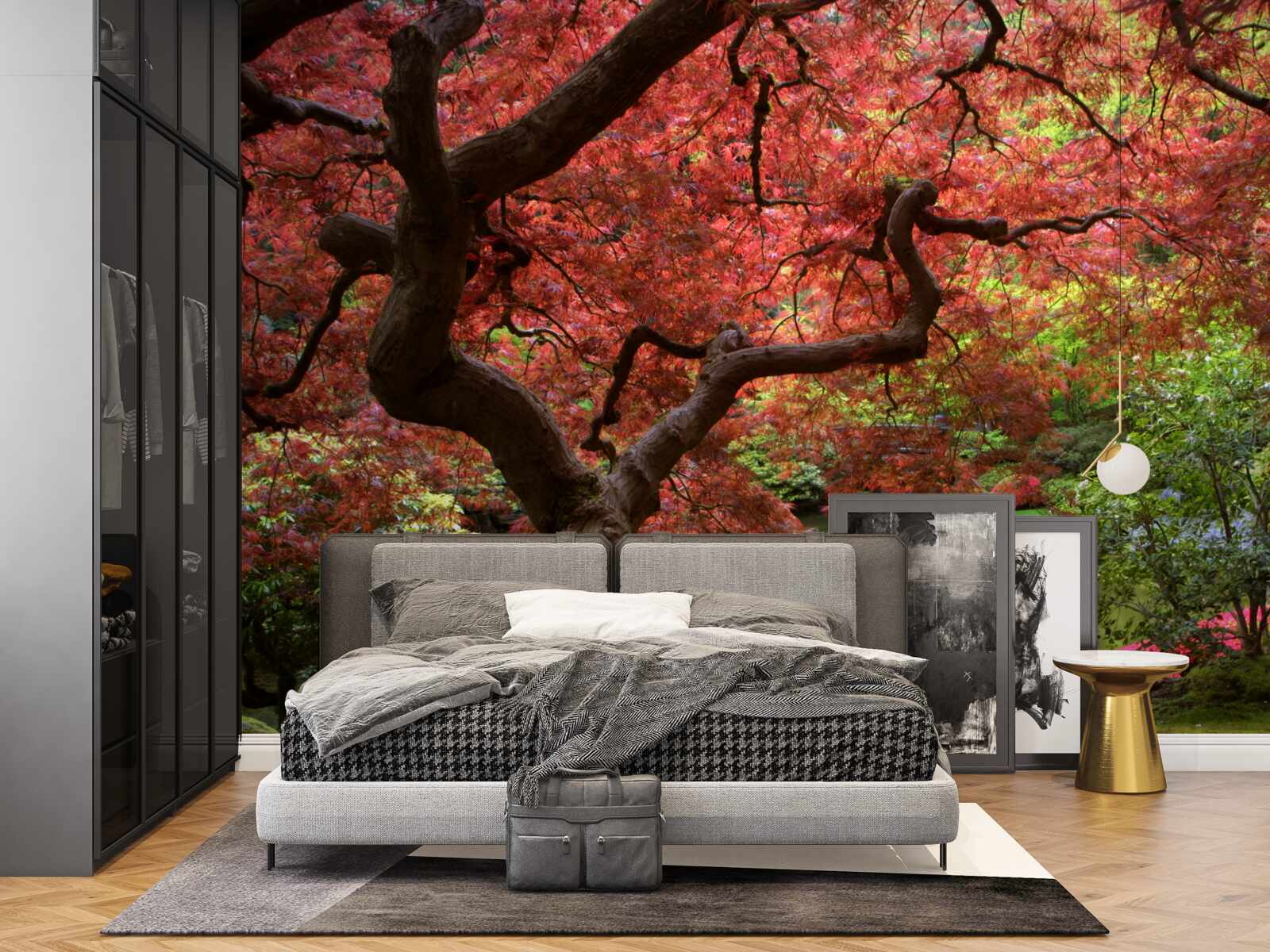 Fototapeta klon z japonii w pobliżu stawu jesienią