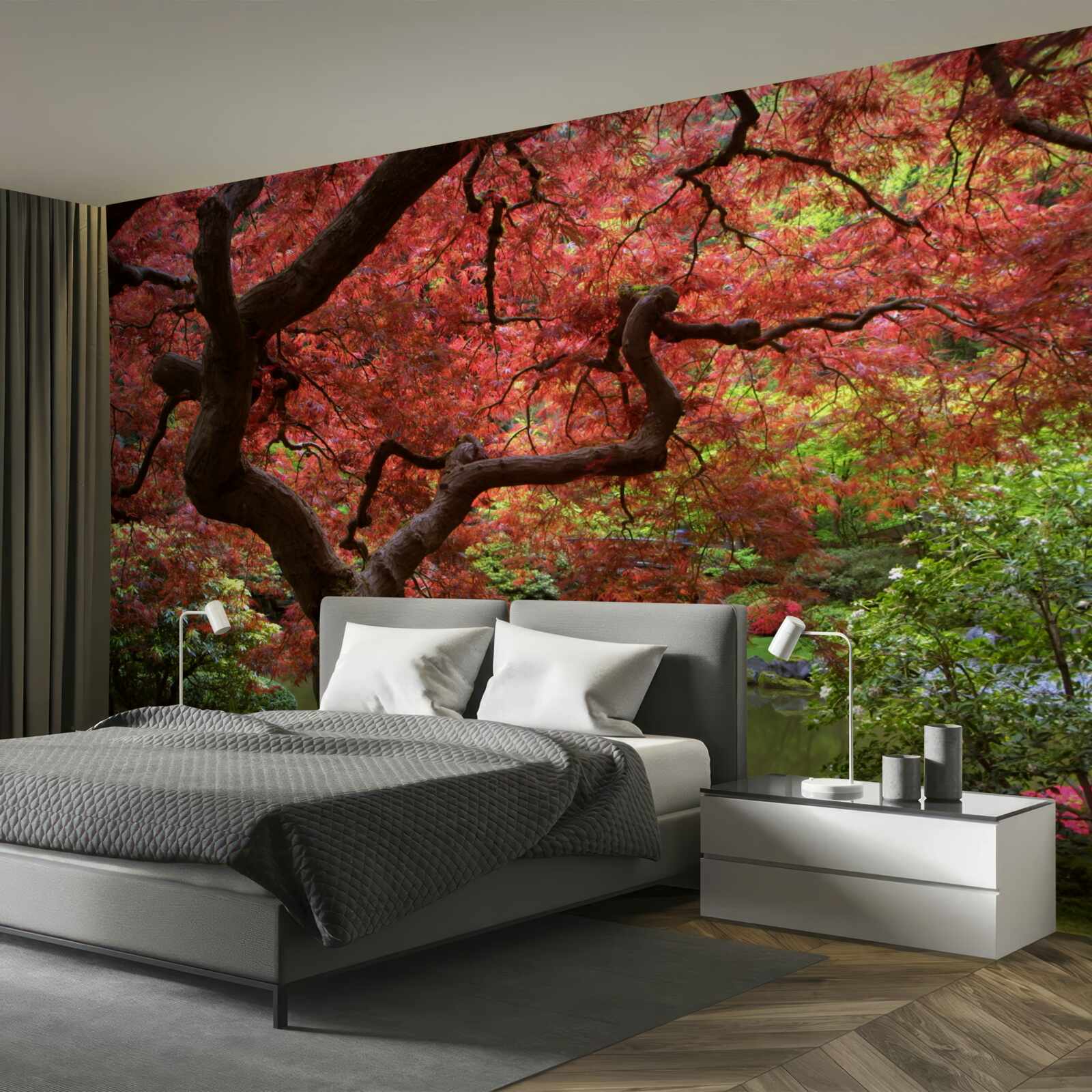 Fototapeta klon z japonii w pobliżu stawu jesienią