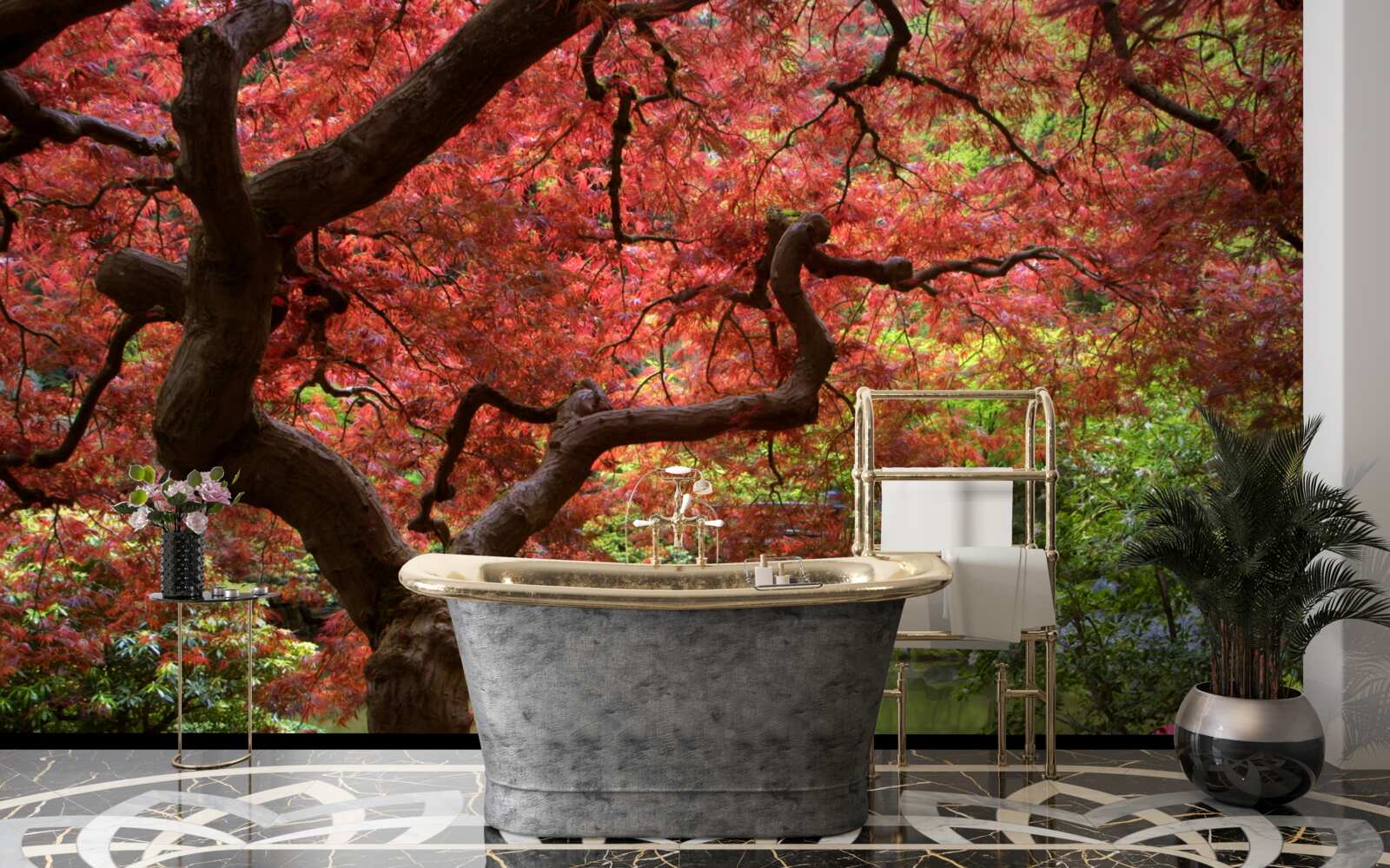 Fototapeta klon z japonii w pobliżu stawu jesienią