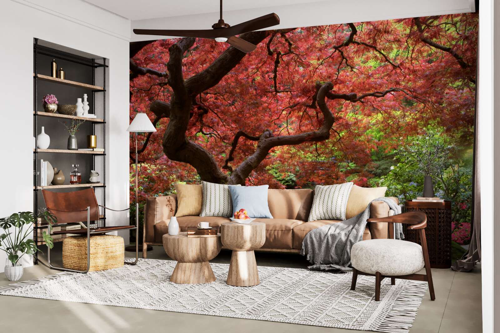 Fototapeta klon z japonii w pobliżu stawu jesienią