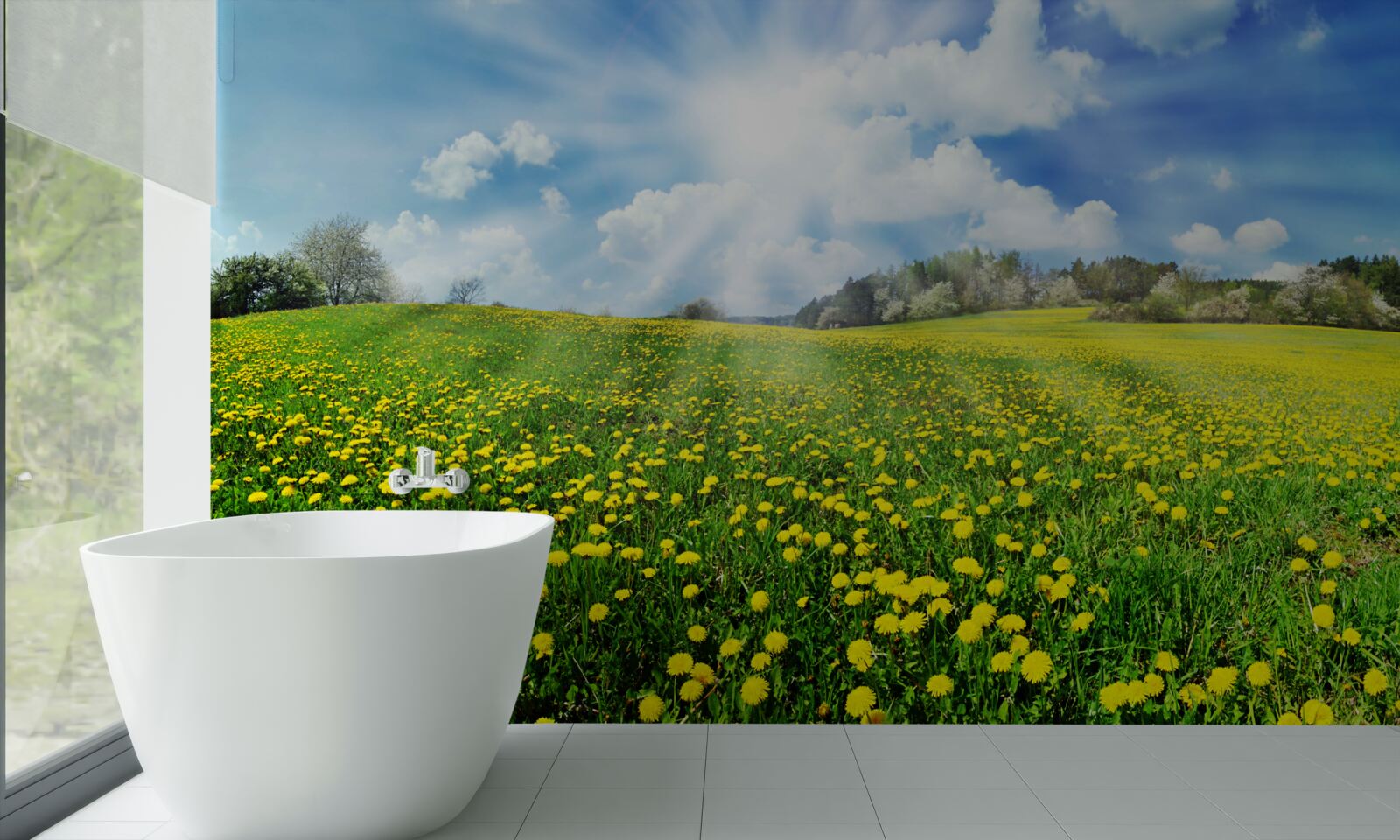 Fototapeta przestrzeń mniszka lekarskiego