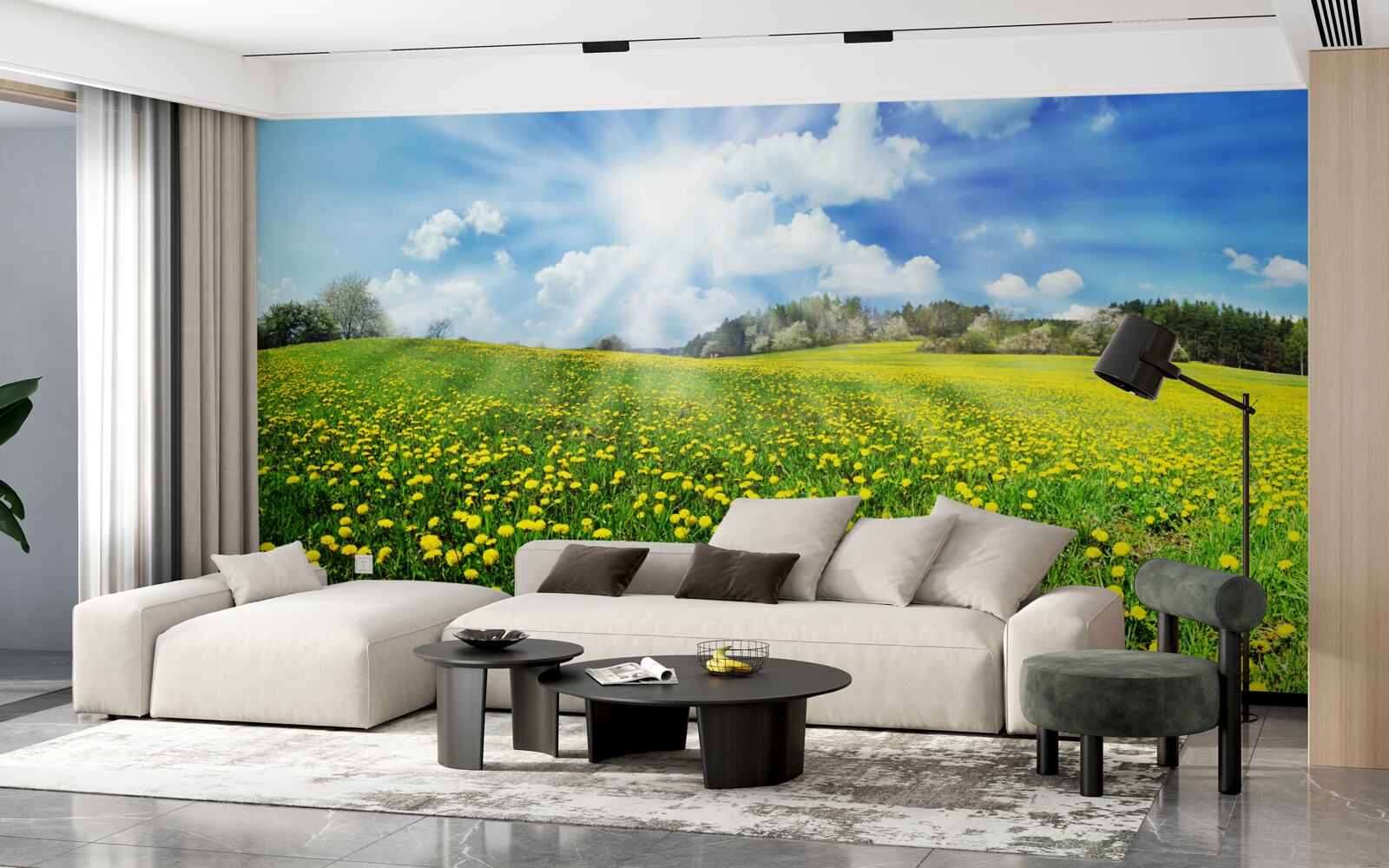 Fototapeta przestrzeń mniszka lekarskiego