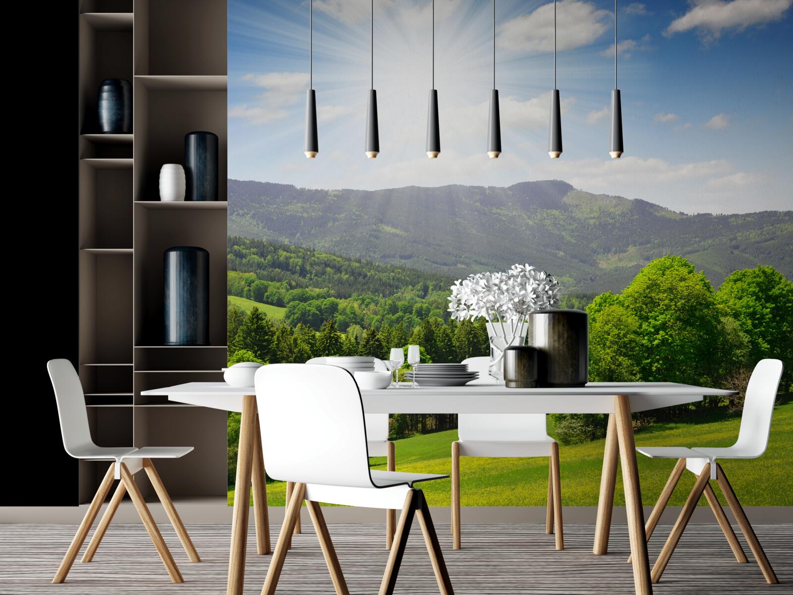 Fototapeta słońce jest w najwyższym punkcie nad zieloną łąką