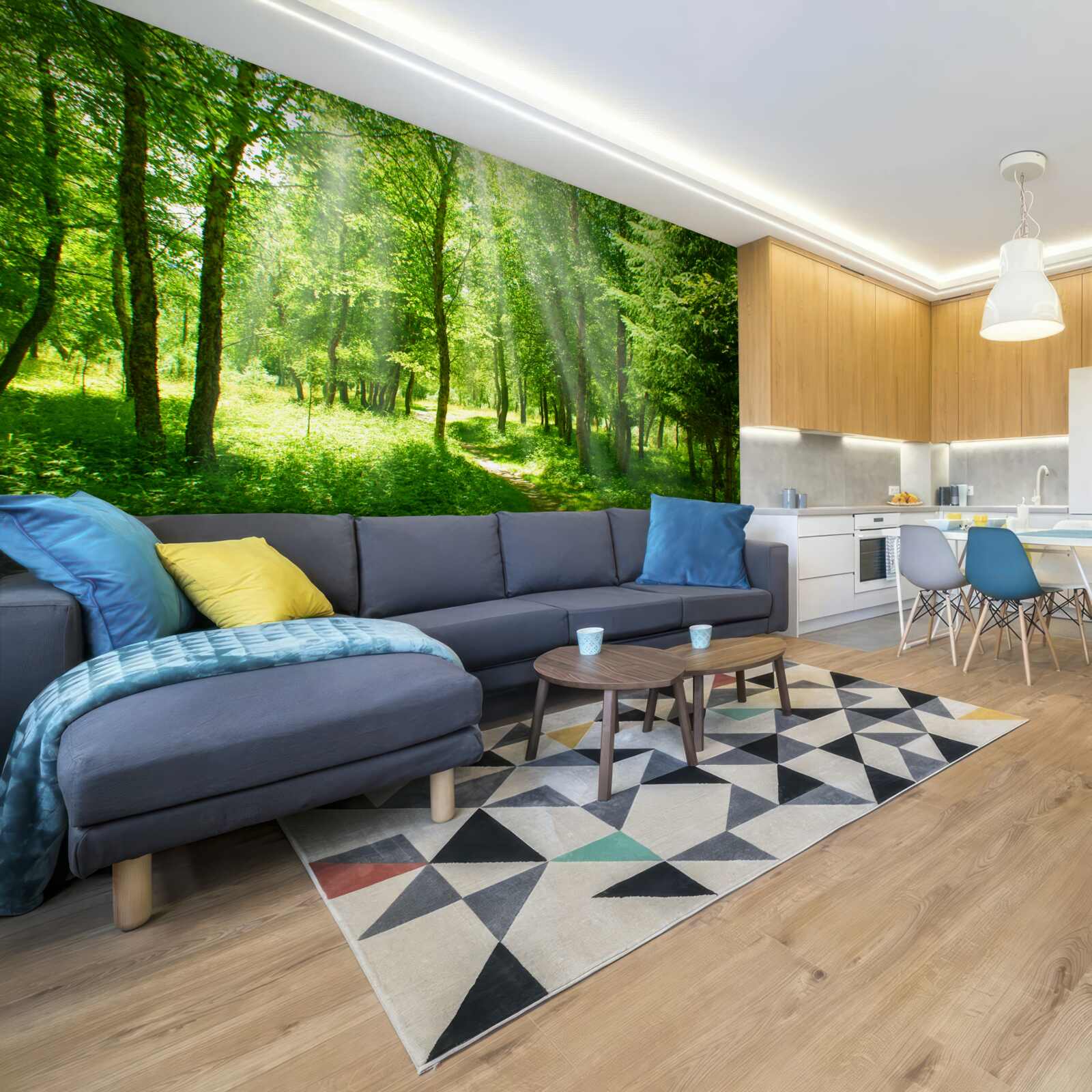 Fototapeta promienie słońca przenikają jasno przez korony leśnych drzew