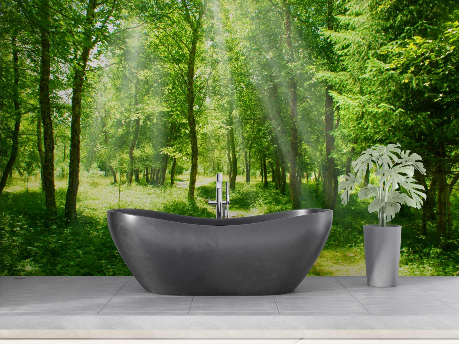 Fototapeta promienie słońca przenikają jasno przez korony leśnych drzew