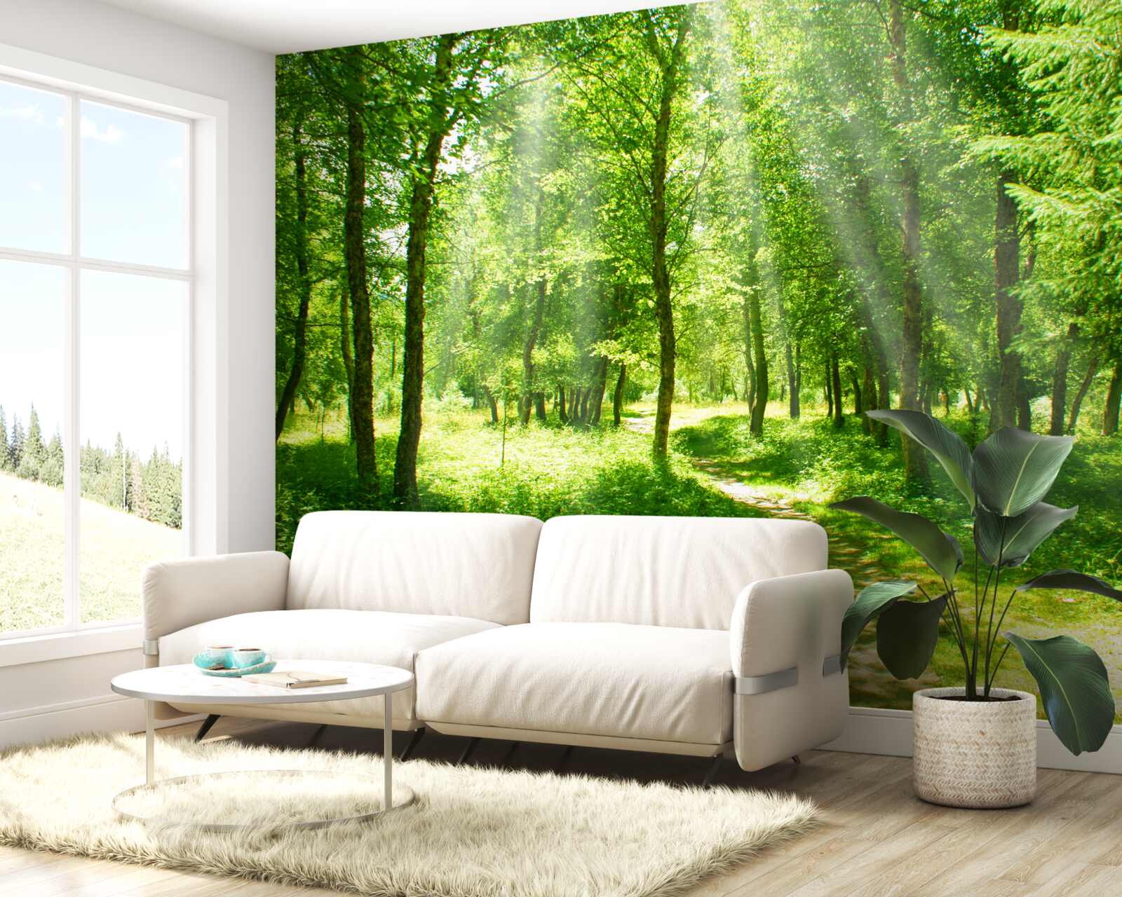 Fototapeta promienie słońca przenikają jasno przez korony leśnych drzew