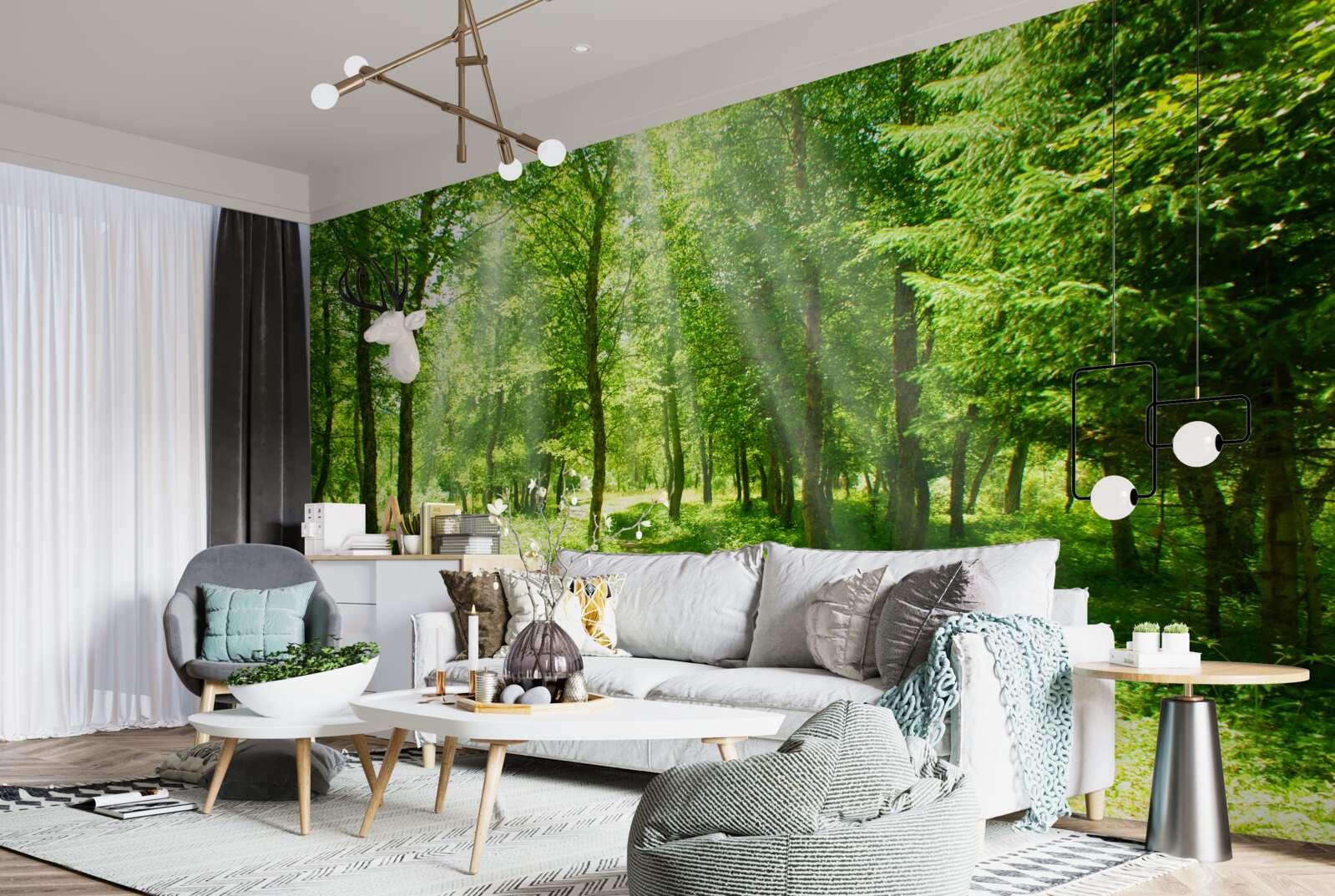 Fototapeta promienie słońca przenikają jasno przez korony leśnych drzew