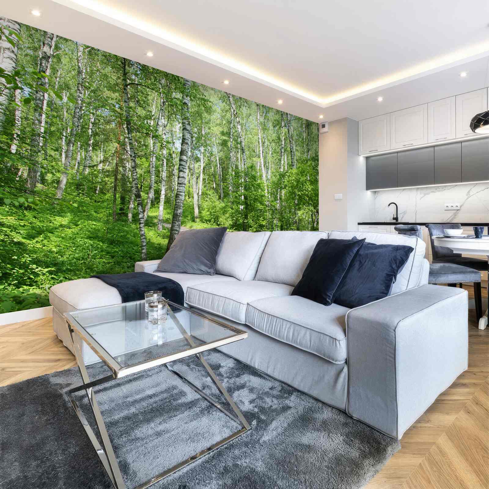 Fototapeta Ścieżka przez las brzozowy w sezonie letnim