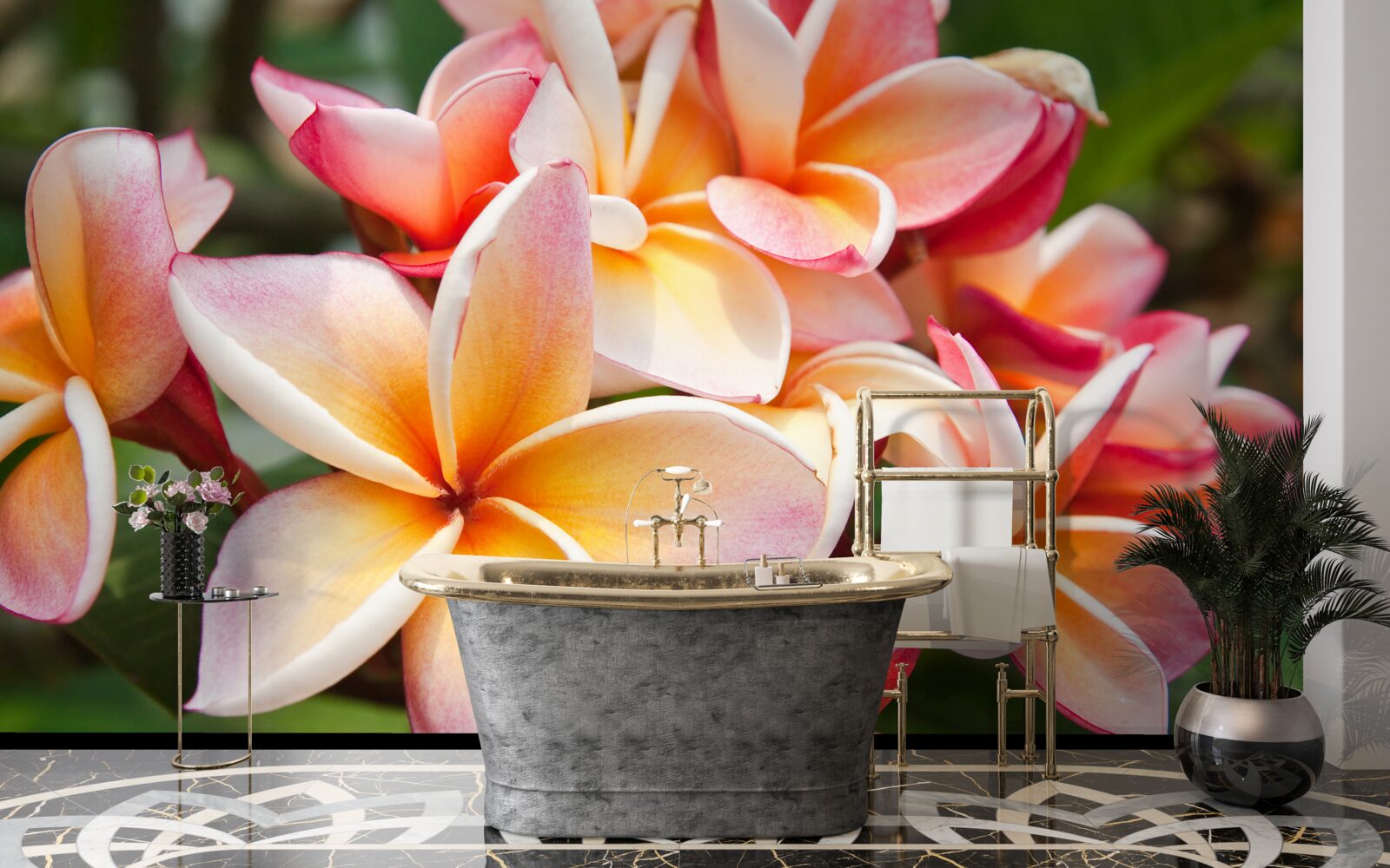 Fototapeta frangipani z atrakcyjnymi kwiatami