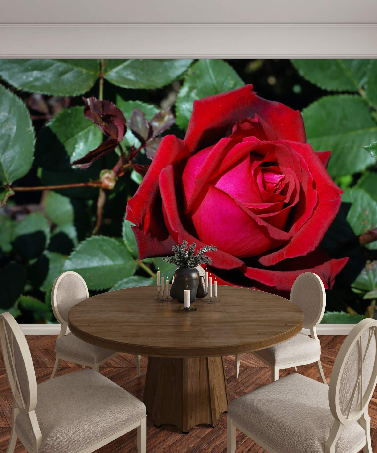 Fototapeta w ogrodzie zakwitła szkarłatna róża